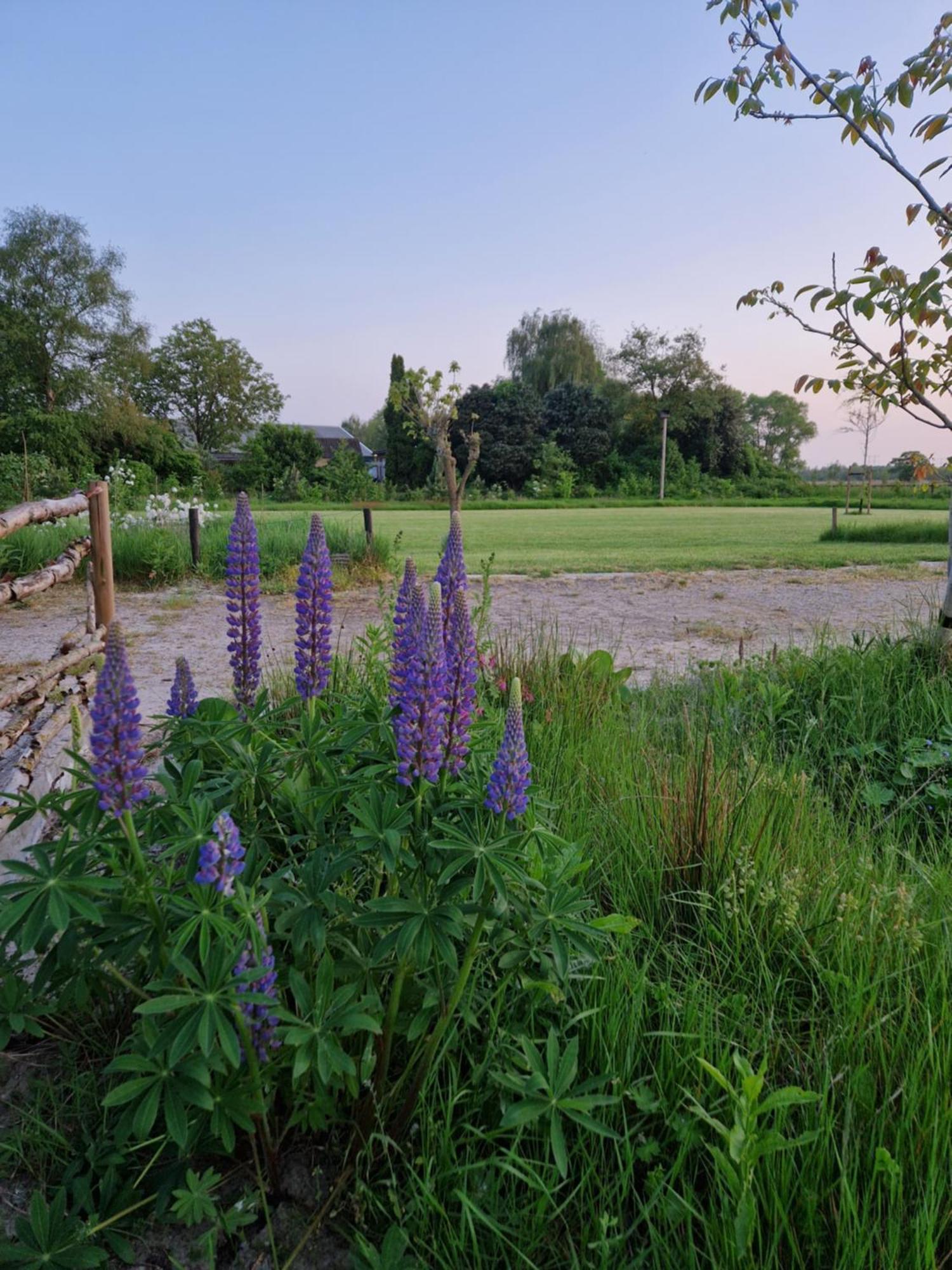De Wilde Tuin - Tuinkamer Moergestel Bagian luar foto